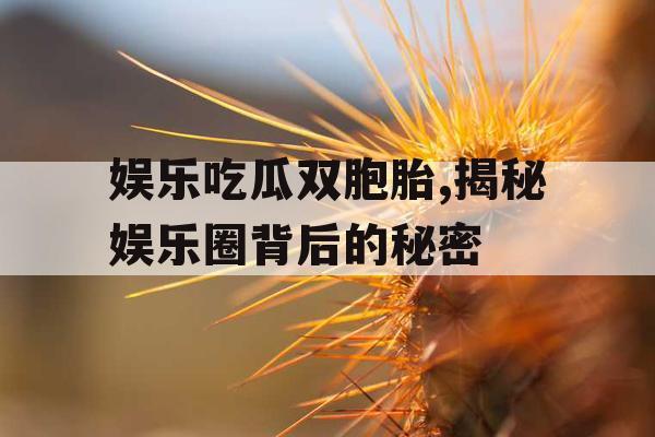 娱乐吃瓜双胞胎,揭秘娱乐圈背后的秘密 娱乐吃瓜双胞胎,揭秘娱乐圈背后的秘密