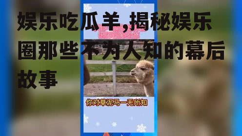 娱乐吃瓜羊,揭秘娱乐圈那些不为人知的幕后故事