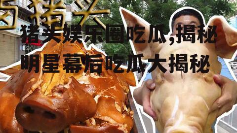 猪头娱乐圈吃瓜,揭秘明星幕后吃瓜大揭秘