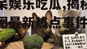 阿呆娱乐吃瓜,揭秘娱乐圈最新热点事件