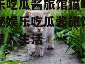 娱乐吃瓜酱旅馆猫咪,揭秘娱乐吃瓜酱旅馆的喵星人生活