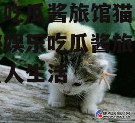 娱乐吃瓜酱旅馆猫咪,揭秘娱乐吃瓜酱旅馆的喵星人生活