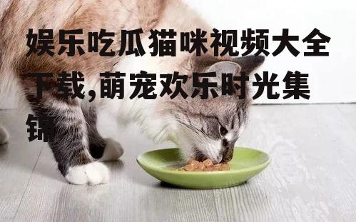 娱乐吃瓜猫咪视频大全下载,萌宠欢乐时光集锦