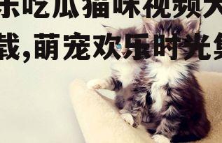 娱乐吃瓜猫咪视频大全下载,萌宠欢乐时光集锦