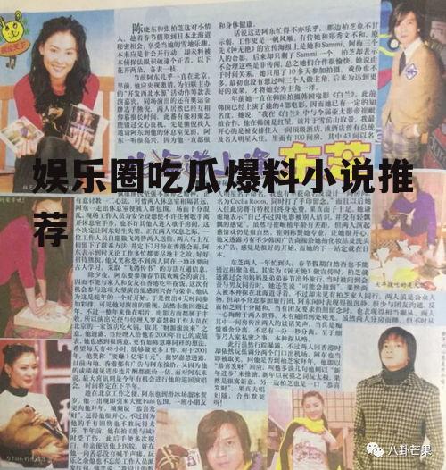 娱乐圈吃瓜爆料小说推荐