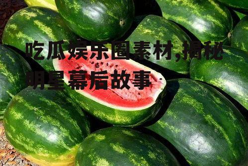 吃瓜娱乐圈素材,揭秘明星幕后故事