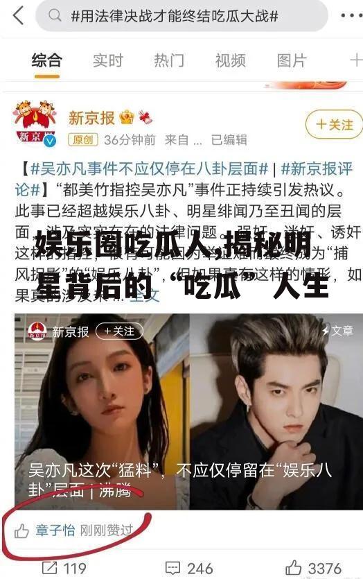 娱乐圈吃瓜人,揭秘明星背后的“吃瓜”人生