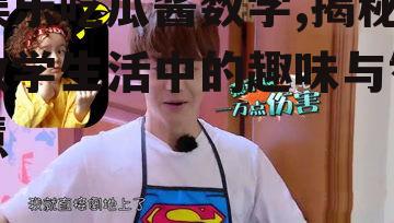 娱乐吃瓜酱数学,揭秘数学生活中的趣味与智慧