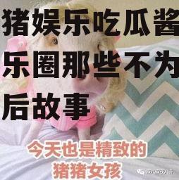 肥猪猪娱乐吃瓜酱,揭秘娱乐圈那些不为人知的幕后故事