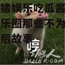肥猪猪娱乐吃瓜酱,揭秘娱乐圈那些不为人知的幕后故事