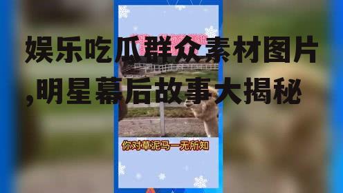 娱乐吃瓜群众素材图片,明星幕后故事大揭秘