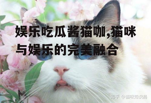 娱乐吃瓜酱猫咖,猫咪与娱乐的完美融合