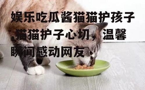 娱乐吃瓜酱猫猫护孩子,猫猫护子心切，温馨瞬间感动网友