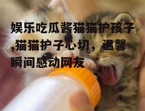 娱乐吃瓜酱猫猫护孩子,猫猫护子心切，温馨瞬间感动网友