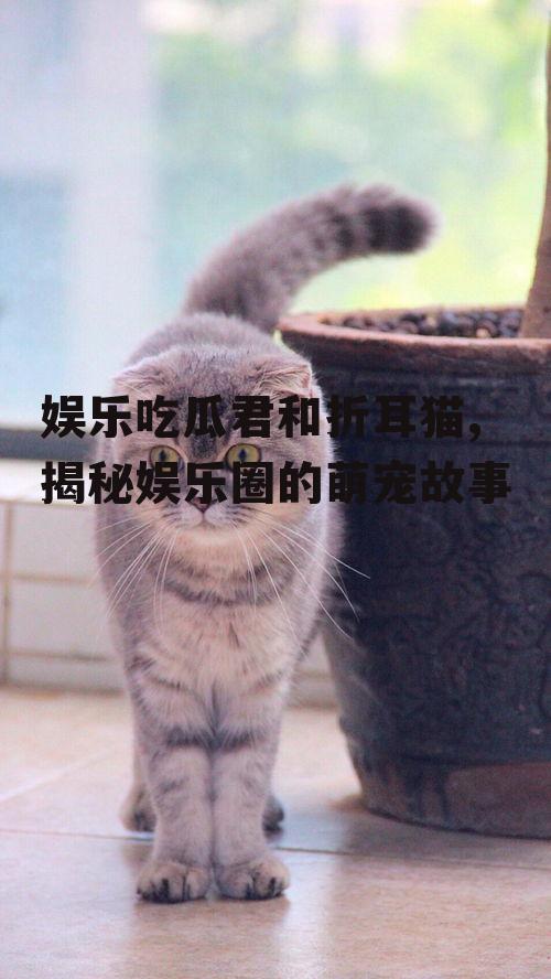 娱乐吃瓜君和折耳猫,揭秘娱乐圈的萌宠故事