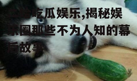 二哈吃瓜娱乐,揭秘娱乐圈那些不为人知的幕后故事