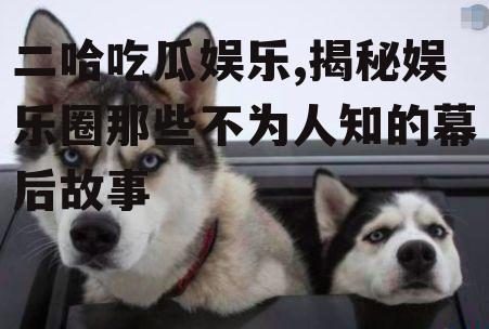 二哈吃瓜娱乐,揭秘娱乐圈那些不为人知的幕后故事