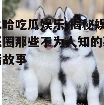 二哈吃瓜娱乐,揭秘娱乐圈那些不为人知的幕后故事