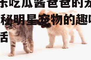 娱乐吃瓜酱爸爸的宠物,揭秘明星宠物的趣味生活