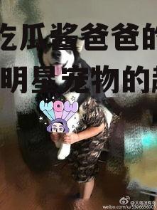 娱乐吃瓜酱爸爸的宠物,揭秘明星宠物的趣味生活