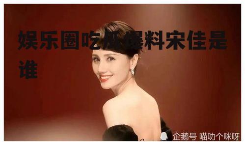 娱乐圈吃瓜爆料宋佳是谁