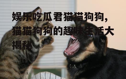 娱乐吃瓜君猫猫狗狗,猫猫狗狗的趣味生活大揭秘