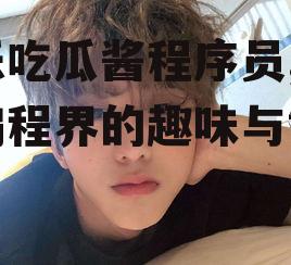 娱乐吃瓜酱程序员,揭秘编程界的趣味与智慧