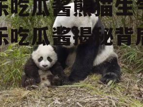 娱乐吃瓜酱熊猫生气,娱乐吃瓜酱揭秘背后真相