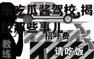 娱乐吃瓜酱驾校,揭秘驾校那些事儿