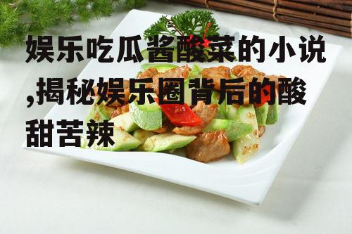 娱乐吃瓜酱酸菜的小说,揭秘娱乐圈背后的酸甜苦辣