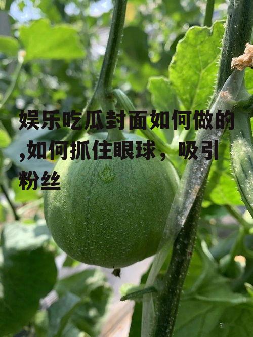 娱乐吃瓜封面如何做的,如何抓住眼球，吸引粉丝