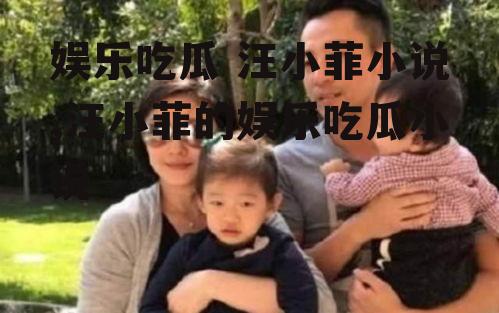 娱乐吃瓜 汪小菲小说,汪小菲的娱乐吃瓜小说