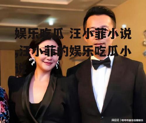 娱乐吃瓜 汪小菲小说,汪小菲的娱乐吃瓜小说