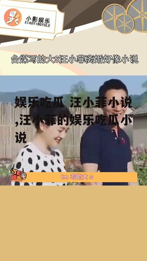 娱乐吃瓜 汪小菲小说,汪小菲的娱乐吃瓜小说