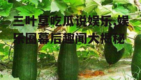 三叶草吃瓜说娱乐,娱乐圈幕后趣闻大揭秘