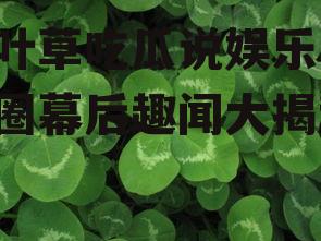 三叶草吃瓜说娱乐,娱乐圈幕后趣闻大揭秘