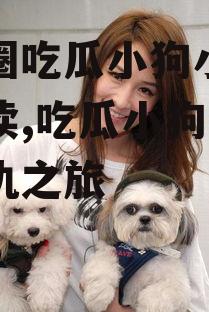 娱乐圈吃瓜小狗小说在线阅读,吃瓜小狗的甜蜜复仇之旅