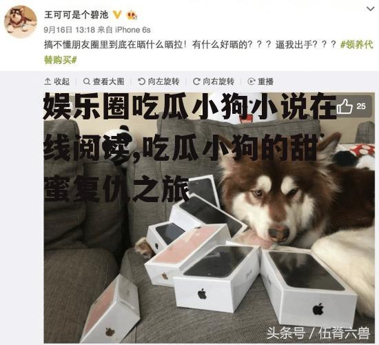 娱乐圈吃瓜小狗小说在线阅读,吃瓜小狗的甜蜜复仇之旅