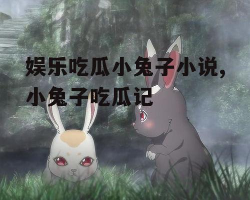 娱乐吃瓜小兔子小说,小兔子吃瓜记