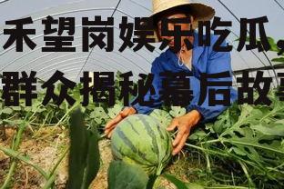 嘉禾望岗娱乐吃瓜,吃瓜群众揭秘幕后故事