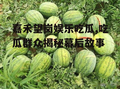 嘉禾望岗娱乐吃瓜,吃瓜群众揭秘幕后故事